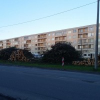 blog-grid
